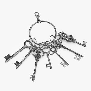 Skeleton Keys Bunch Silver 3D model