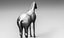 Cavallo (zbrush)