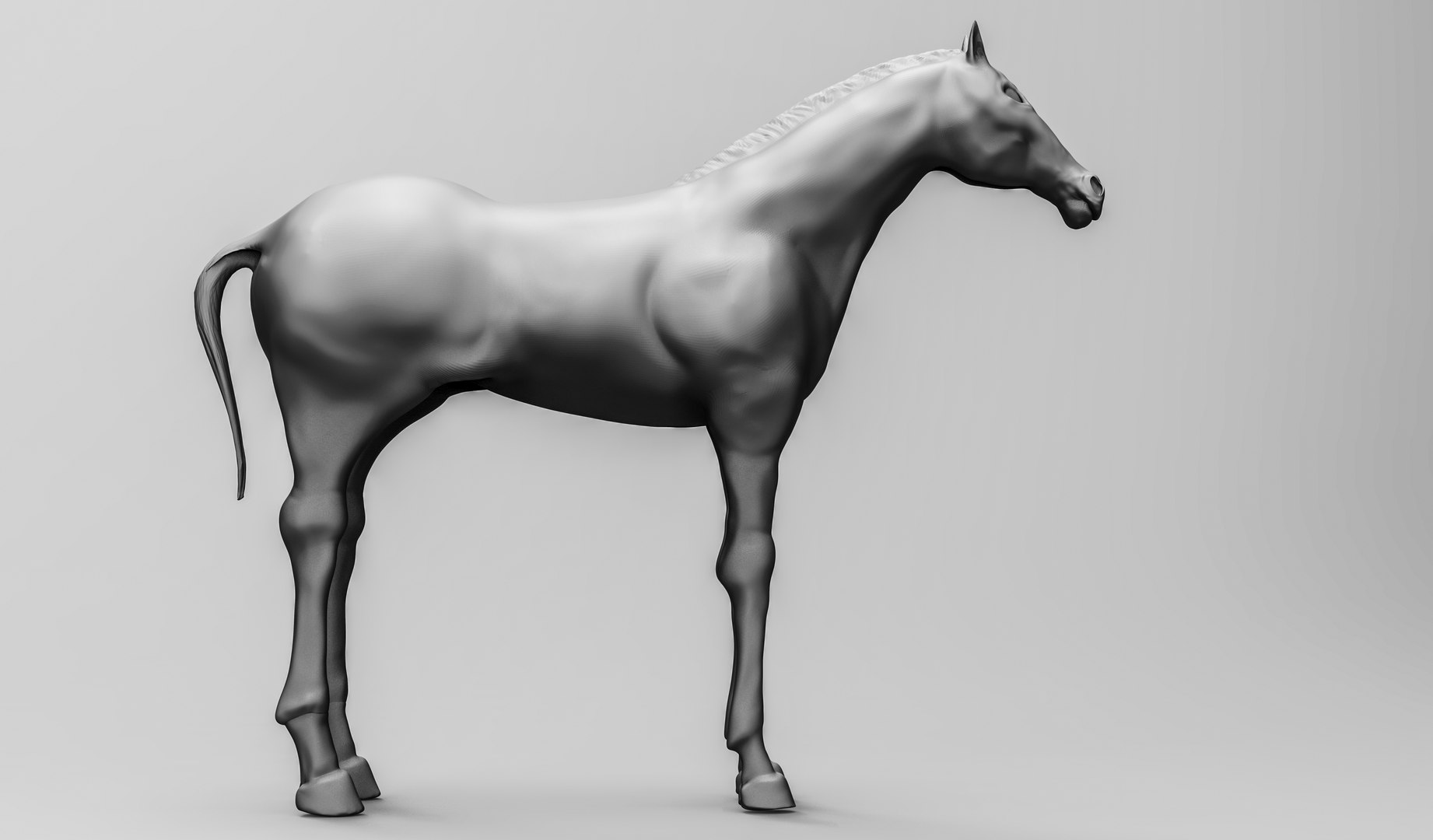 3D horse zbrush https://p.turbosquid.com/ts-thumb/E6/xLPHbz/xrj33cX0/09/jpg/1587112974/1920x1080/fit_q87/3adb3e67c285adba0d120ae7899913e269157116/09.jpg