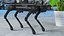 Sporco cane robot truccato