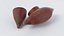 Cartoon Sweet Potato