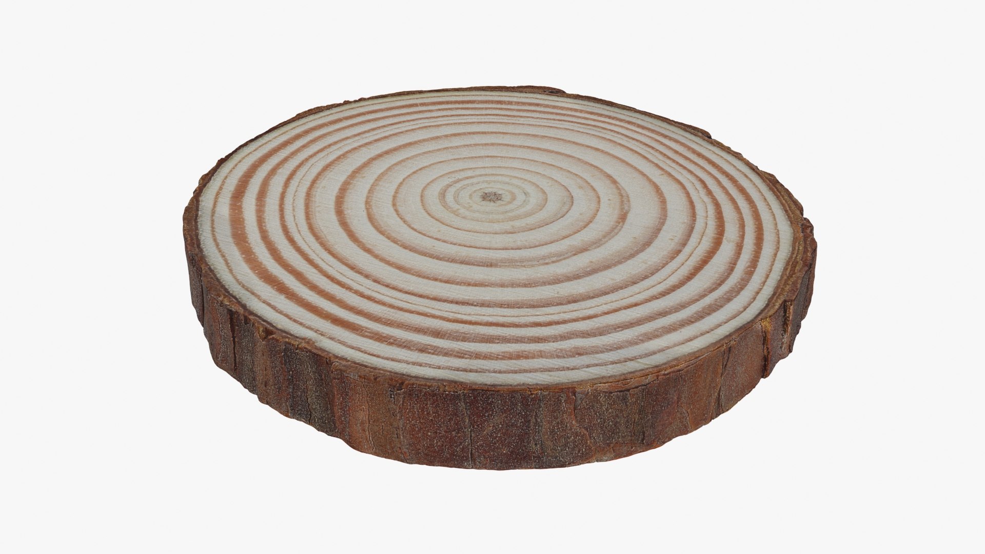 3D Wood Log Slice 02 https://p.turbosquid.com/ts-thumb/E7/UMuCl6/zE/woodlogslice02_b0008/jpg/1699211818/1920x1080/fit_q87/34552c8eda4dd042beb3a0e01066393fd8ba2713/woodlogslice02_b0008.jpg