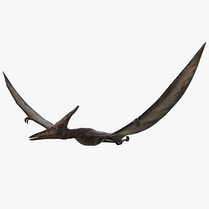 Pteranodon Animated