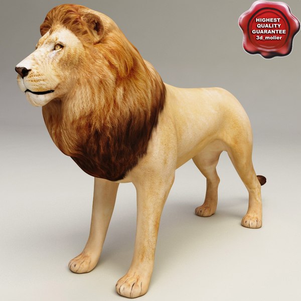 3ds lion modelled