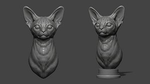 Abyssinian cat bust 3D model