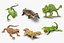 Lizards Rigged Collection 2 for Maya