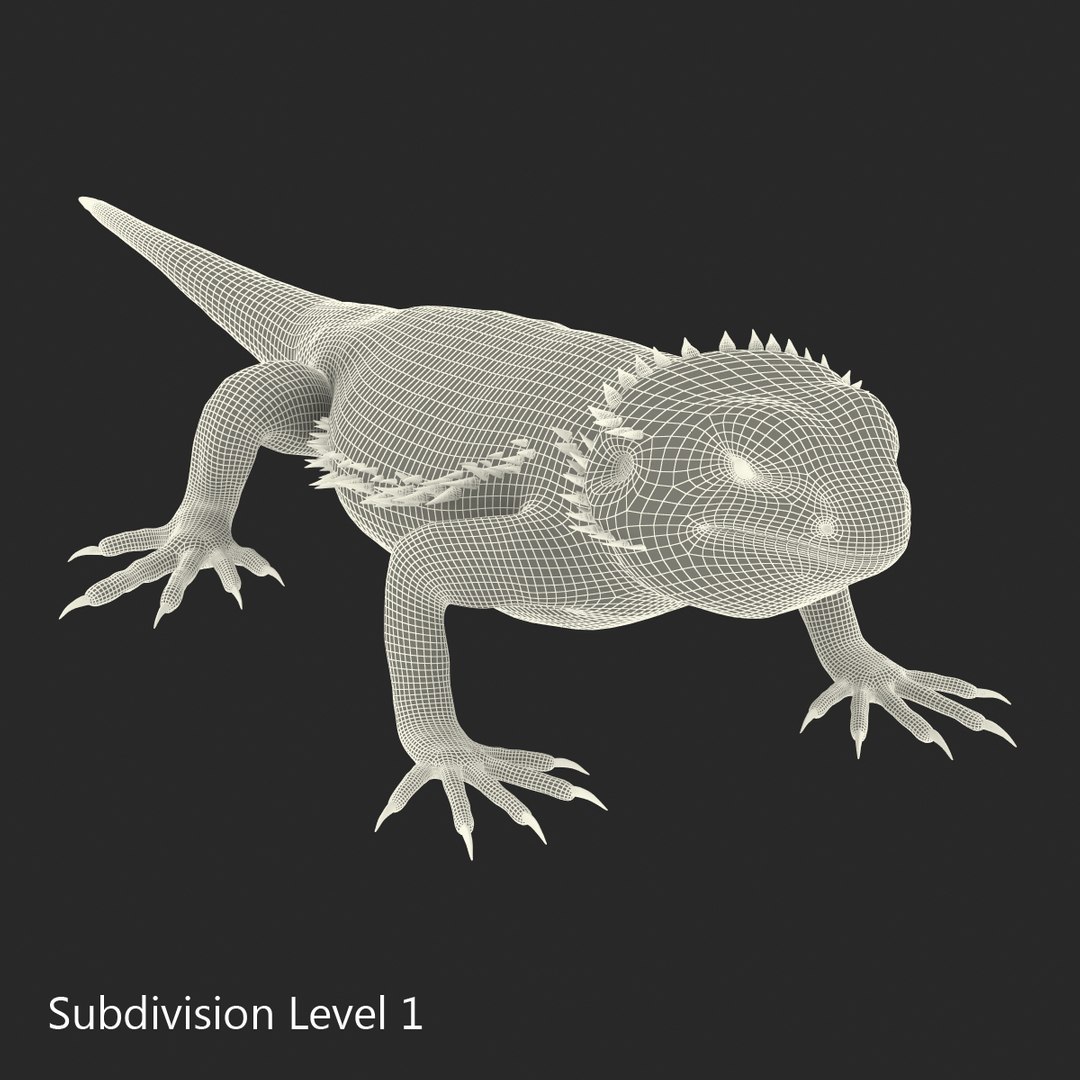 lizards rigged 2 3D model https://p.turbosquid.com/ts-thumb/E7/e46rKj/7CpLAAzL/riggedlizardscollection3dmodels35/jpg/1504899497/1920x1080/fit_q87/7a9c31788daaeb375dec0a32e27a2b1d363d3129/riggedlizardscollection3dmodels35.jpg