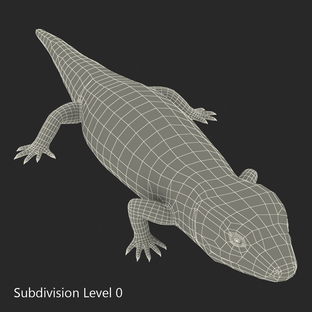lizards rigged 2 3D model https://p.turbosquid.com/ts-thumb/E7/e46rKj/8ywv6NFW/riggedlizardscollection3dmodels32/jpg/1504899497/1920x1080/fit_q87/51156c2483f84b874d4e488f2c8b14b685fa6835/riggedlizardscollection3dmodels32.jpg