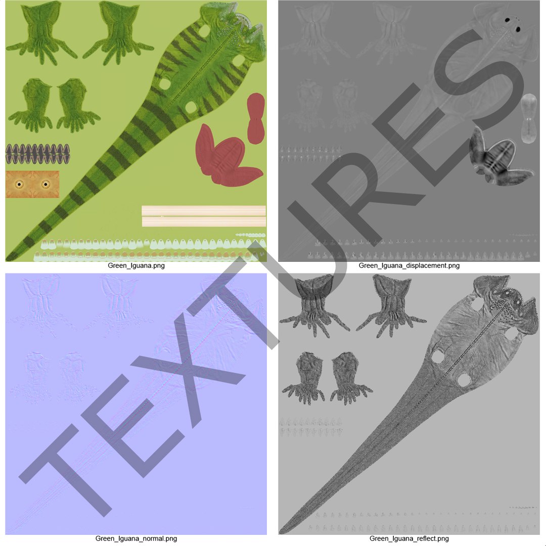 lizards rigged 2 3D model https://p.turbosquid.com/ts-thumb/E7/e46rKj/IOsvdytQ/riggedlizardscollection3dmodels37/jpg/1504899497/1920x1080/fit_q87/88bfa01b8da736b7db14ae7a2da667c5fba80b9c/riggedlizardscollection3dmodels37.jpg