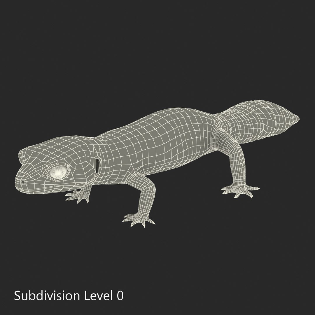 lizards rigged 2 3D model https://p.turbosquid.com/ts-thumb/E7/e46rKj/XOCybL6D/riggedlizardscollection3dmodels28/jpg/1504899497/1920x1080/fit_q87/1917eb00e3cfe64659c18391e3f88fd9ef2202f6/riggedlizardscollection3dmodels28.jpg