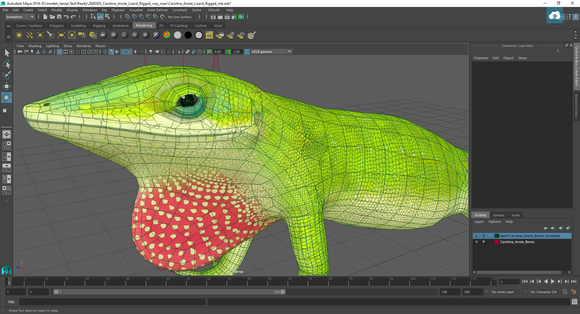 lizards rigged 2 3D model https://p.turbosquid.com/ts-thumb/E7/e46rKj/ZZQhQoQH/carolina_anole_lizard_rigged_mb_03/jpg/1582635055/1920x1080/fit_q87/1fcd1abe2f36656fc671a470360ac9d6bcf93c17/carolina_anole_lizard_rigged_mb_03.jpg