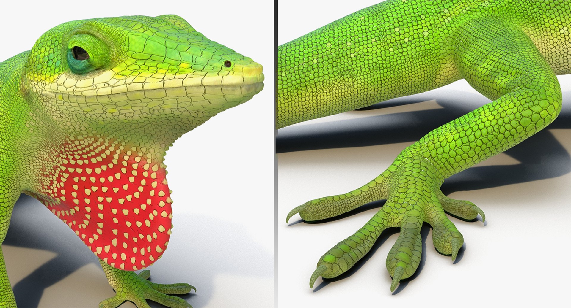 lizards rigged 2 3D model https://p.turbosquid.com/ts-thumb/E7/e46rKj/Zz2chbq4/riggedlizardscollection3dmodels13/jpg/1504899496/1920x1080/fit_q87/a120321a412ee1c591e7fbbc07fc840a17dc1572/riggedlizardscollection3dmodels13.jpg