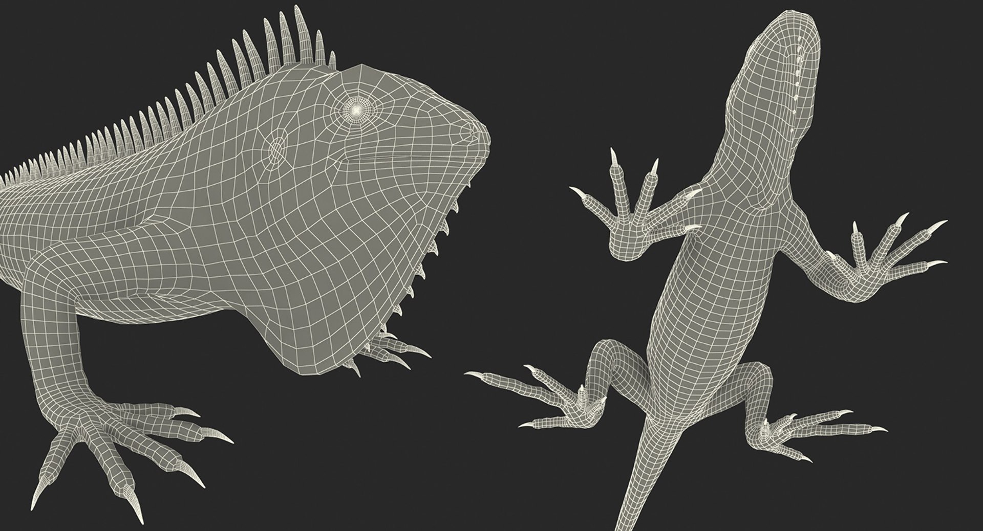 lizards rigged 2 3D model https://p.turbosquid.com/ts-thumb/E7/e46rKj/dniiNbWy/riggedlizardscollection3dmodels40/jpg/1504899497/1920x1080/fit_q87/54b3a4565d63c6e215682d4c2da728f2f4e76bdd/riggedlizardscollection3dmodels40.jpg