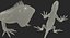 Lizards Rigged Collection 2 for Maya