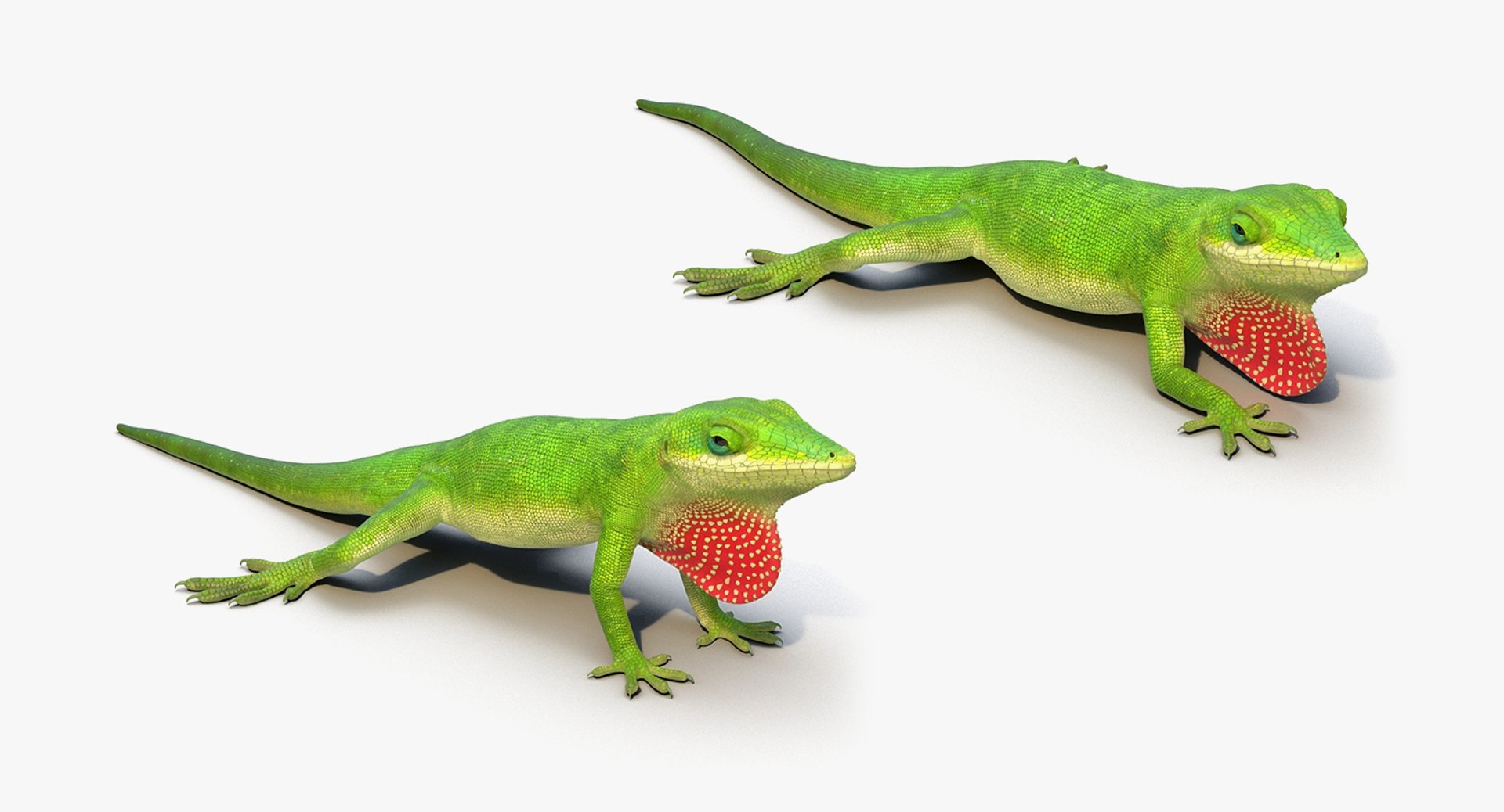 lizards rigged 2 3D model https://p.turbosquid.com/ts-thumb/E7/e46rKj/mo0mF1NX/riggedlizardscollection3dmodels10/jpg/1504899496/1920x1080/fit_q87/9a890b1a71e3cbedc6314a35de43a00869096b81/riggedlizardscollection3dmodels10.jpg