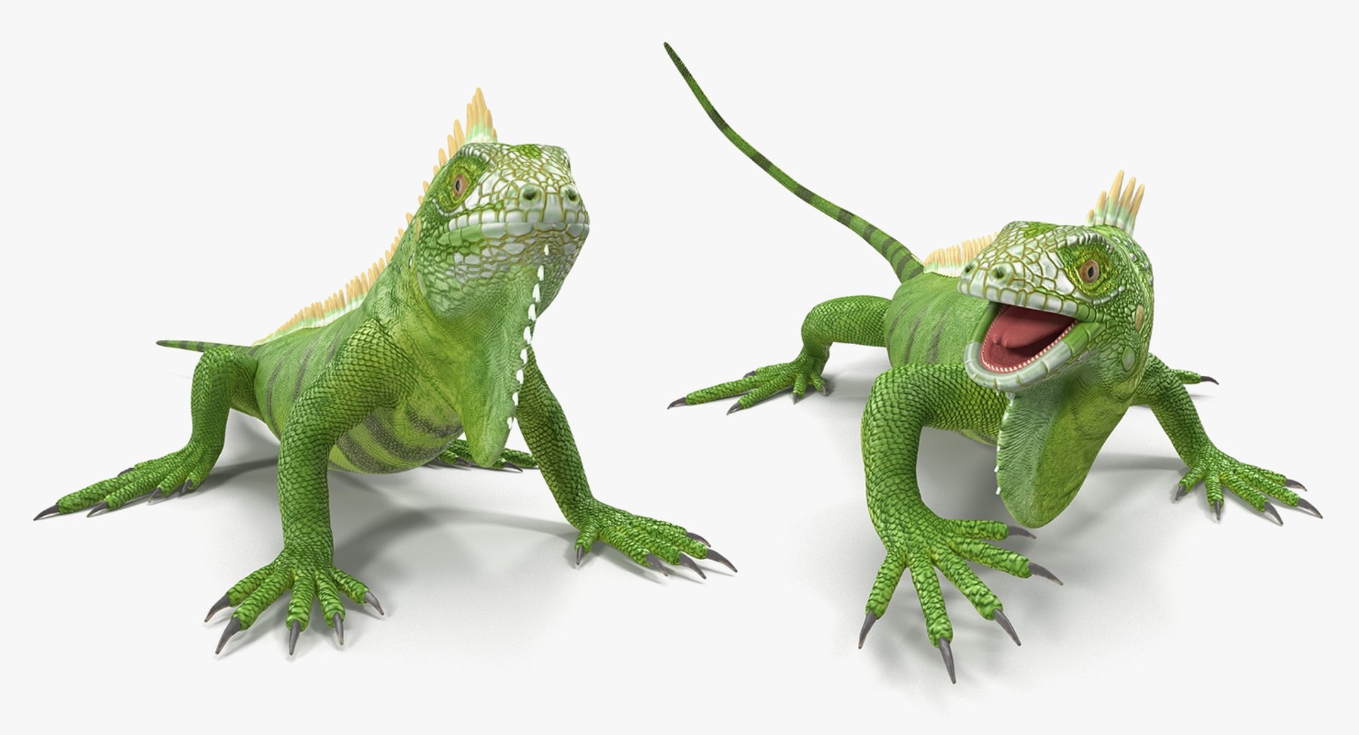lizards rigged 2 3D model https://p.turbosquid.com/ts-thumb/E7/e46rKj/zUUbbZtH/riggedlizardscollection3dmodels02/jpg/1504899496/1920x1080/fit_q87/01b3e1b6e6ef705617534397c4d7fef4dd01f640/riggedlizardscollection3dmodels02.jpg