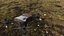 Drone Titã Tático
