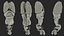 Sammlung der Anatomie des männlichen und weiblichen Körpers
