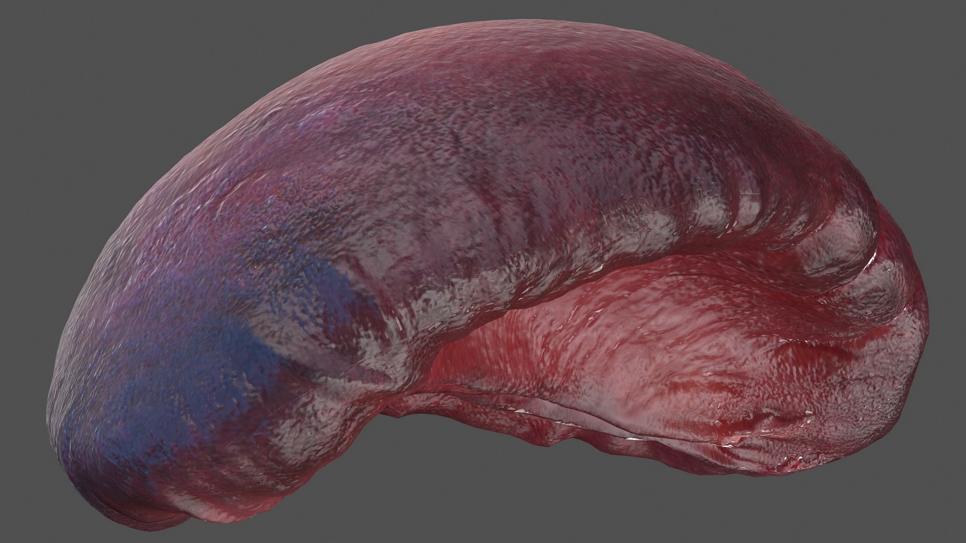 male female body anatomy 3D model https://p.turbosquid.com/ts-thumb/E7/qYydGV/9q/maleandfemalebodyanatomycollectionmb3dmodel162/jpg/1613242663/1920x1080/fit_q87/01e58674e0cf8e536bd03cbe9340fb224e331ab0/maleandfemalebodyanatomycollectionmb3dmodel162.jpg