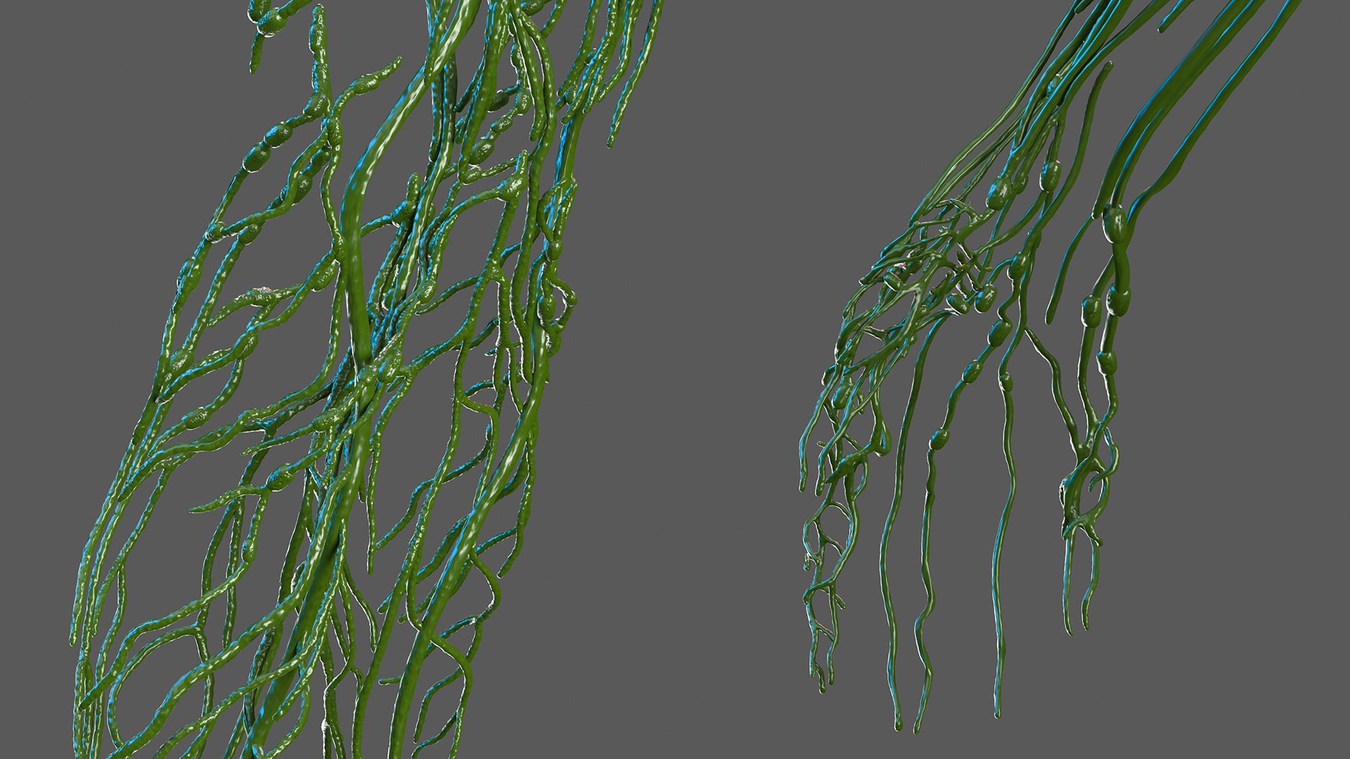 male female body anatomy 3D model https://p.turbosquid.com/ts-thumb/E7/qYydGV/KI/maleandfemalebodyanatomycollectionmb3dmodel050/jpg/1613242511/1920x1080/fit_q87/d034ee35dab27dbe6581b46eff3053650f136bd9/maleandfemalebodyanatomycollectionmb3dmodel050.jpg