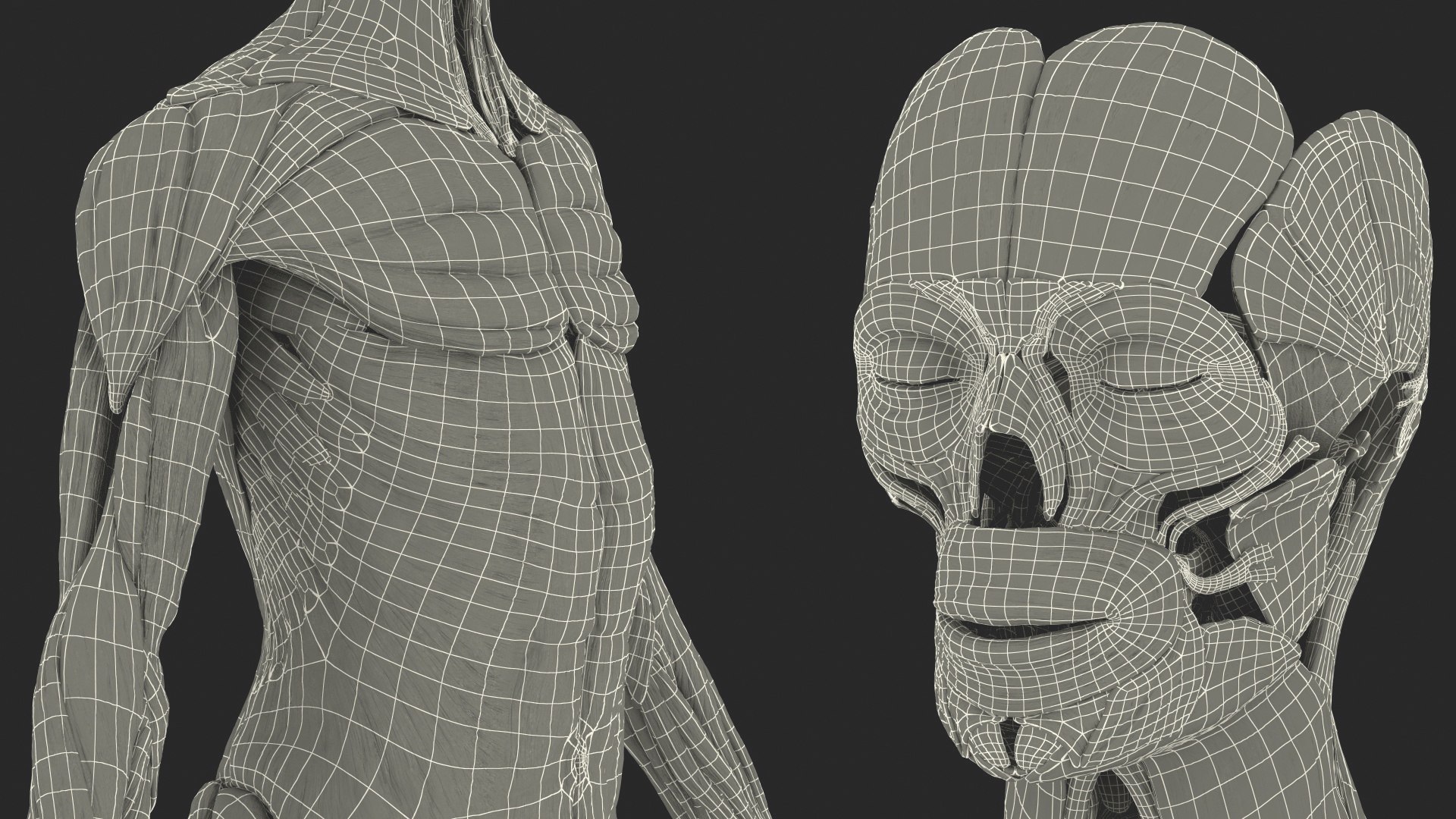 male female body anatomy 3D model https://p.turbosquid.com/ts-thumb/E7/qYydGV/XH/maleandfemalebodyanatomycollectionmb3dmodel217/jpg/1613242785/1920x1080/fit_q87/a035c7e57b32570f5653012504d1120e93be3a78/maleandfemalebodyanatomycollectionmb3dmodel217.jpg