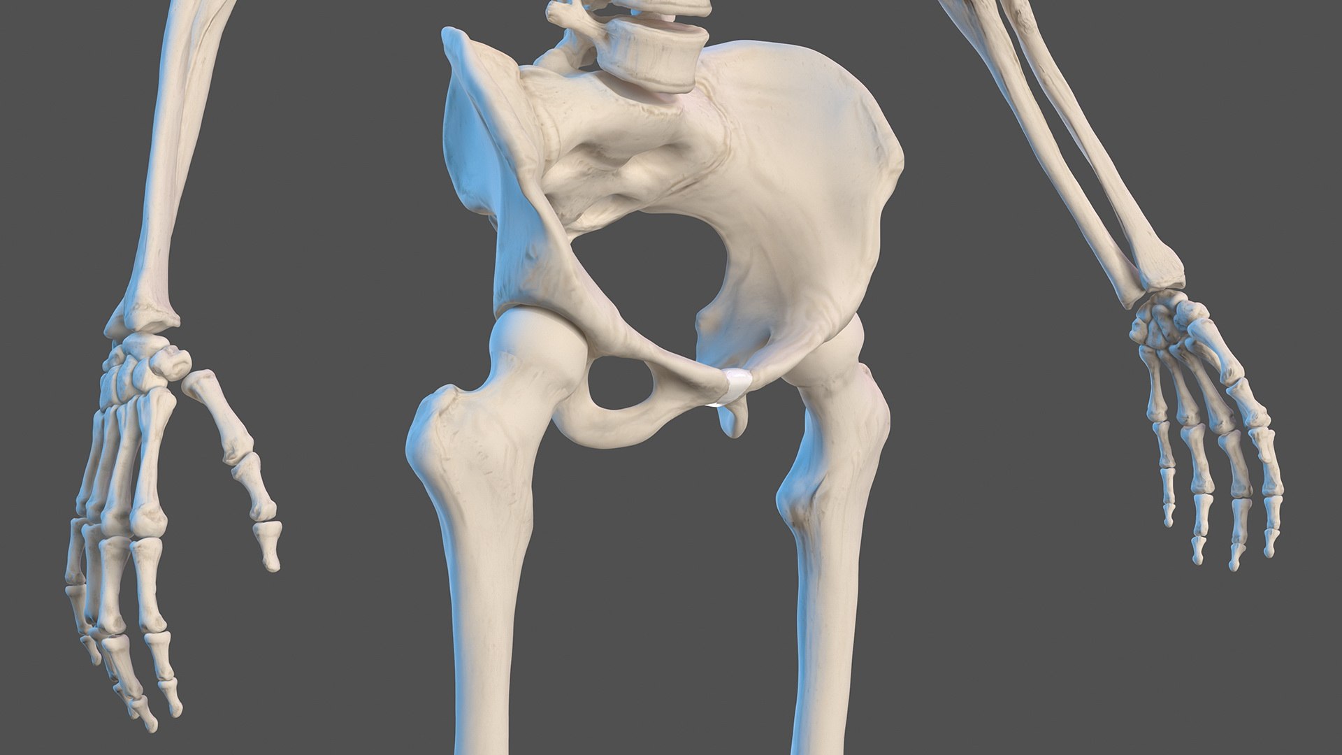 male female body anatomy 3D model https://p.turbosquid.com/ts-thumb/E7/qYydGV/fw/maleandfemalebodyanatomycollectionmb3dmodel022/jpg/1613242460/1920x1080/fit_q87/6d09c211c5fe35e3d411176de9d07bd2ccc4e407/maleandfemalebodyanatomycollectionmb3dmodel022.jpg