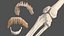 Sammlung der Anatomie des männlichen und weiblichen Körpers