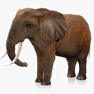 African Elephant RIGGED L2381 3D