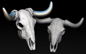 Bull Skull with Separate Horns model