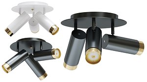 3D Ceiling lamp Asborg B