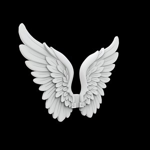 Elegant Angel Wings Sculpture 3D Print Model 3D model