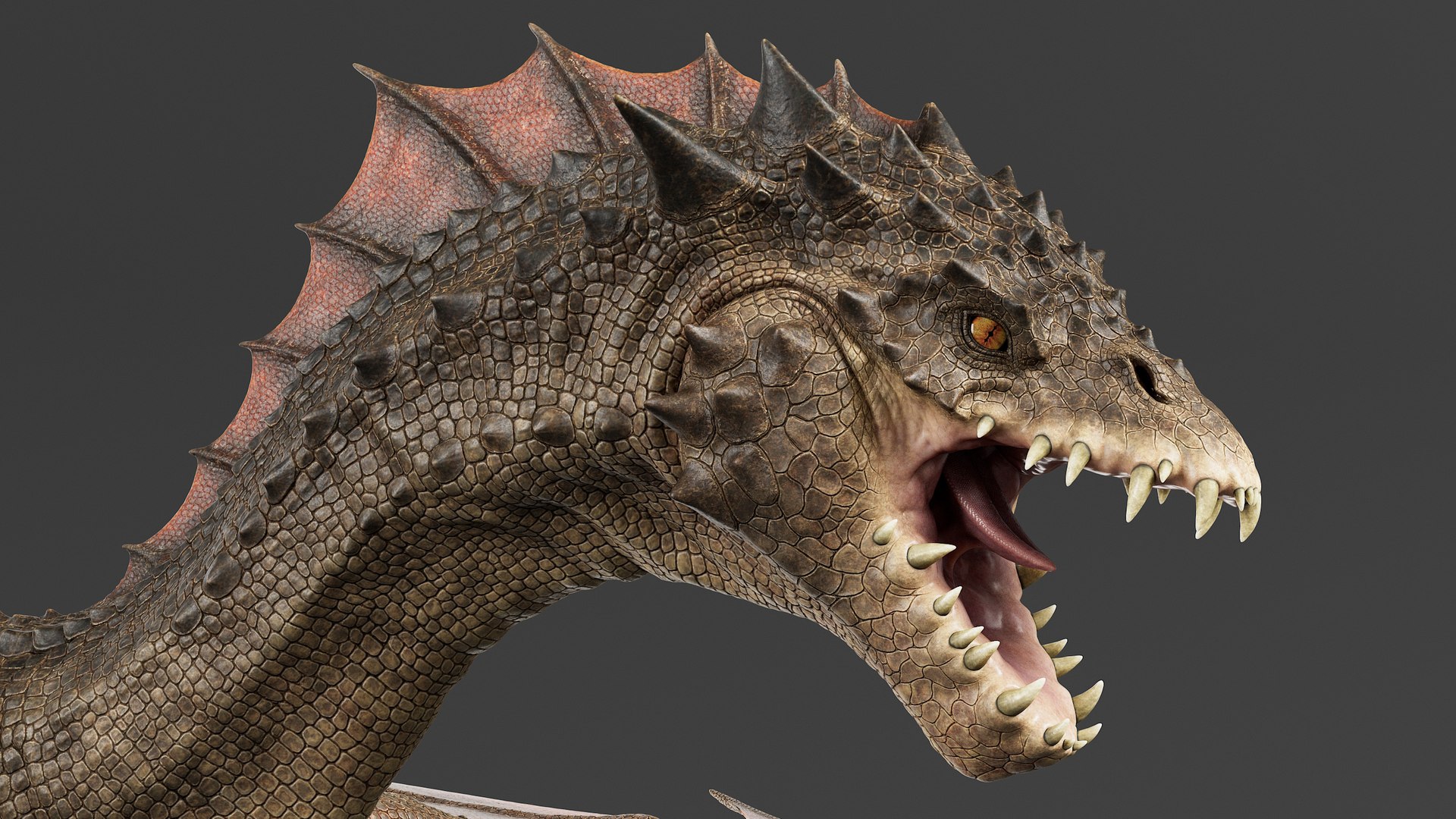 3D model Dragon No Rig https://p.turbosquid.com/ts-thumb/E8/cjQNIW/3Y/drgb_prev_001/jpg/1715010498/1920x1080/fit_q87/b2572a4929ef33d69de564550ec04ee725079744/drgb_prev_001.jpg