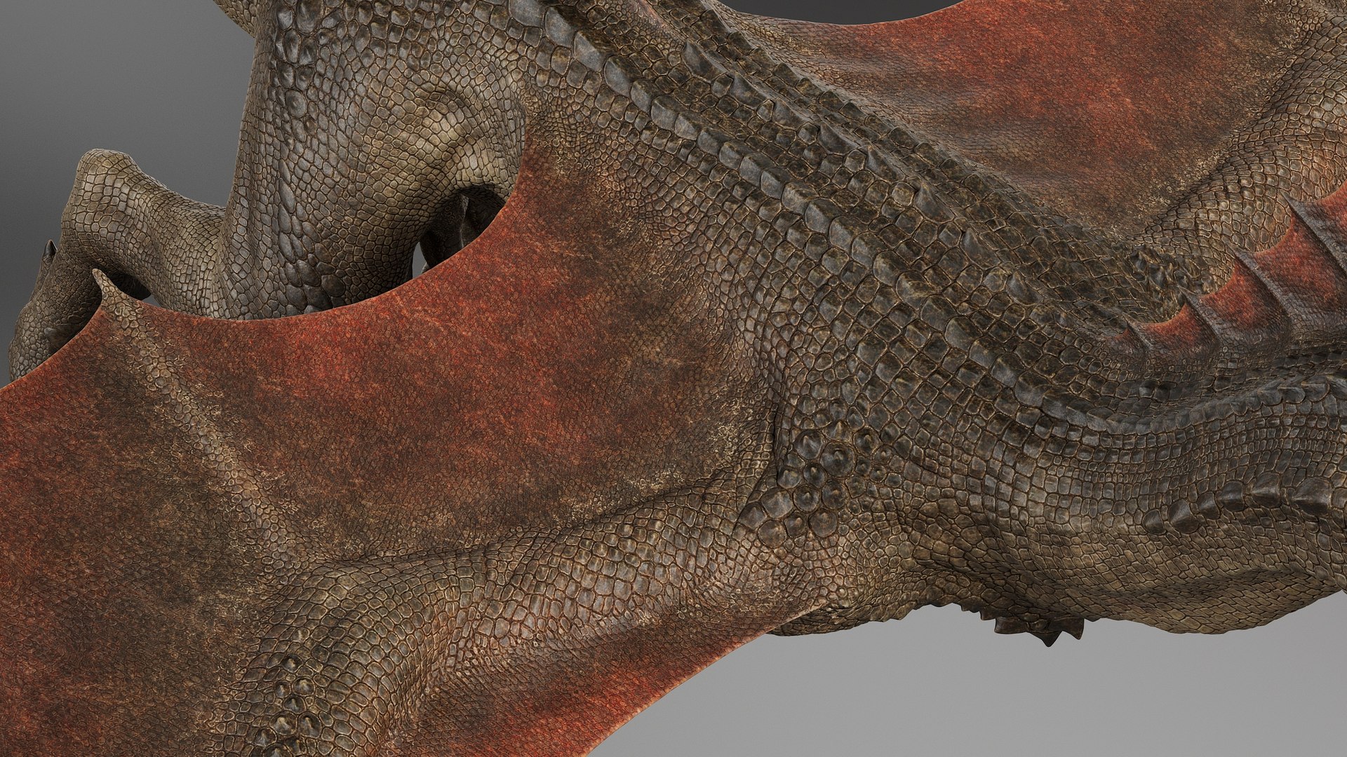 3D model Dragon No Rig https://p.turbosquid.com/ts-thumb/E8/cjQNIW/7o/drgb_012/jpg/1715010626/1920x1080/fit_q87/7ab7f3feb1798746adf469d0889d5324c8ccac97/drgb_012.jpg