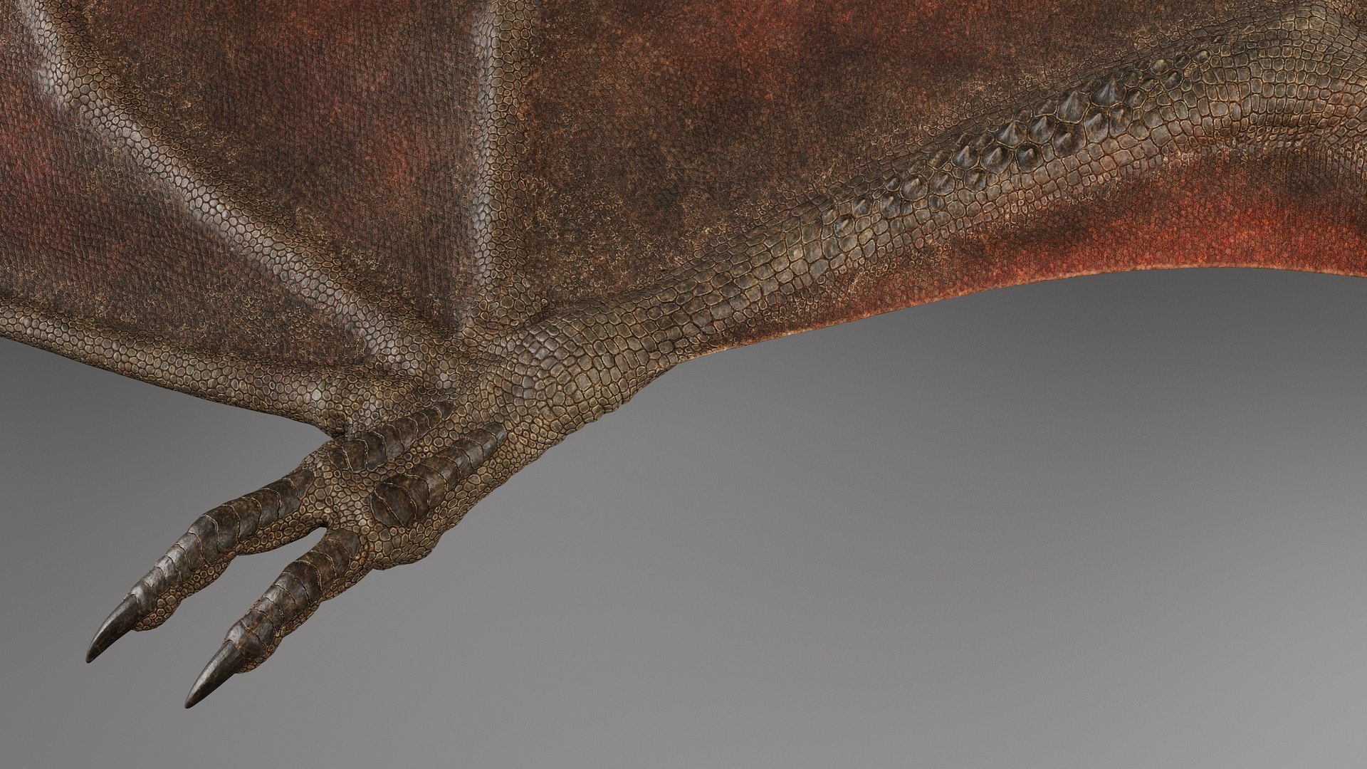 3D model Dragon No Rig https://p.turbosquid.com/ts-thumb/E8/cjQNIW/H2/drgb_011/jpg/1715010626/1920x1080/fit_q87/180532373c4a01550d80251d861cfec468e72326/drgb_011.jpg