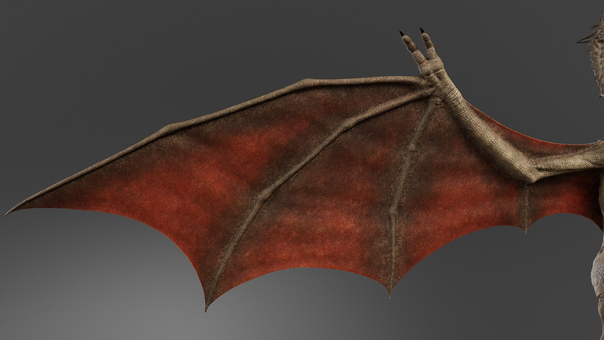 3D model Dragon No Rig https://p.turbosquid.com/ts-thumb/E8/cjQNIW/K6/drgb_014/jpg/1715010628/1920x1080/fit_q87/1e5ef44219fd9589c33fe19517f2b2254e5ce299/drgb_014.jpg