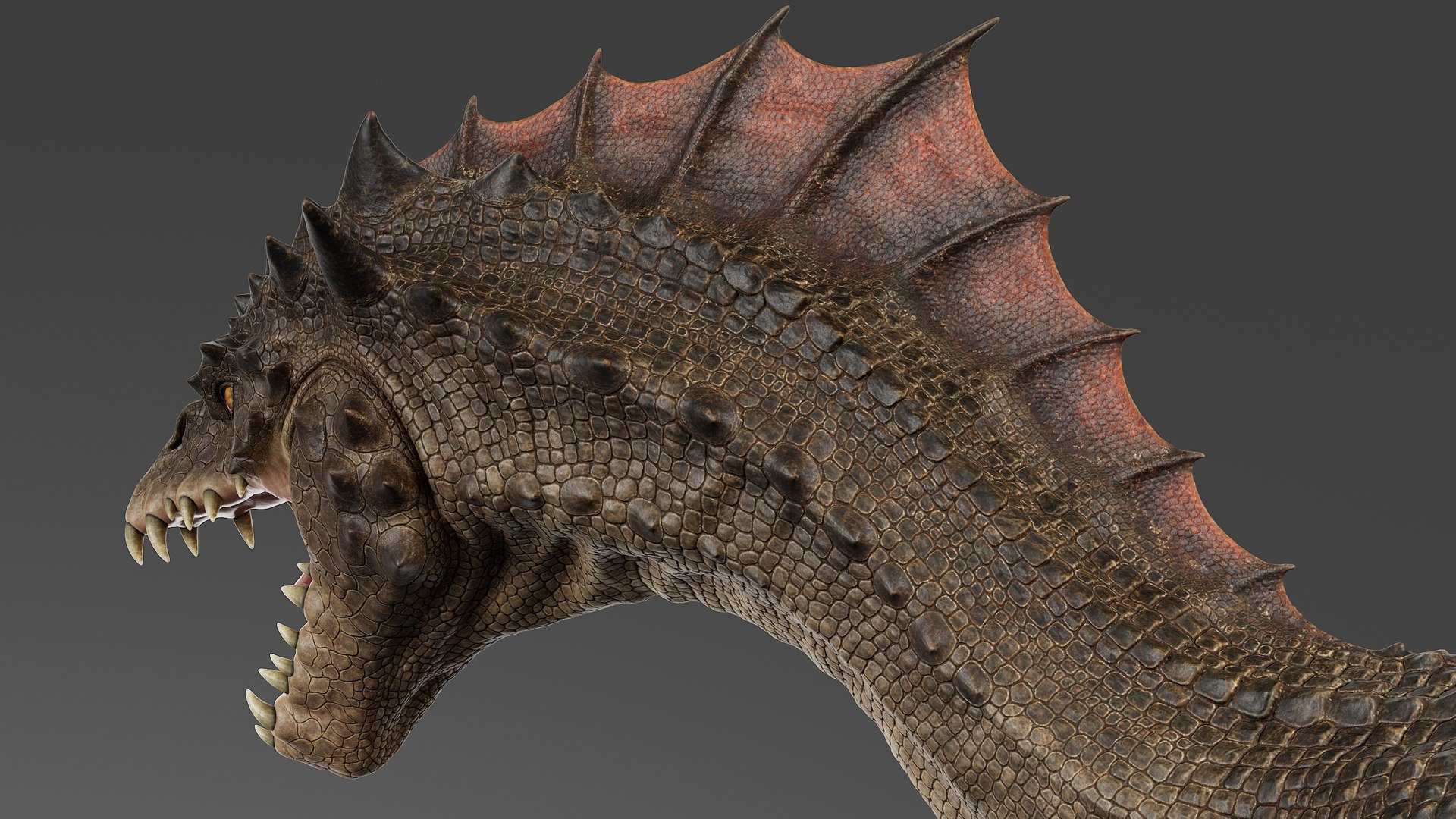 3D model Dragon No Rig https://p.turbosquid.com/ts-thumb/E8/cjQNIW/db/drgb_003/jpg/1715010624/1920x1080/fit_q87/91eef829cf11c6f18febdd0ff9818599b77e566f/drgb_003.jpg
