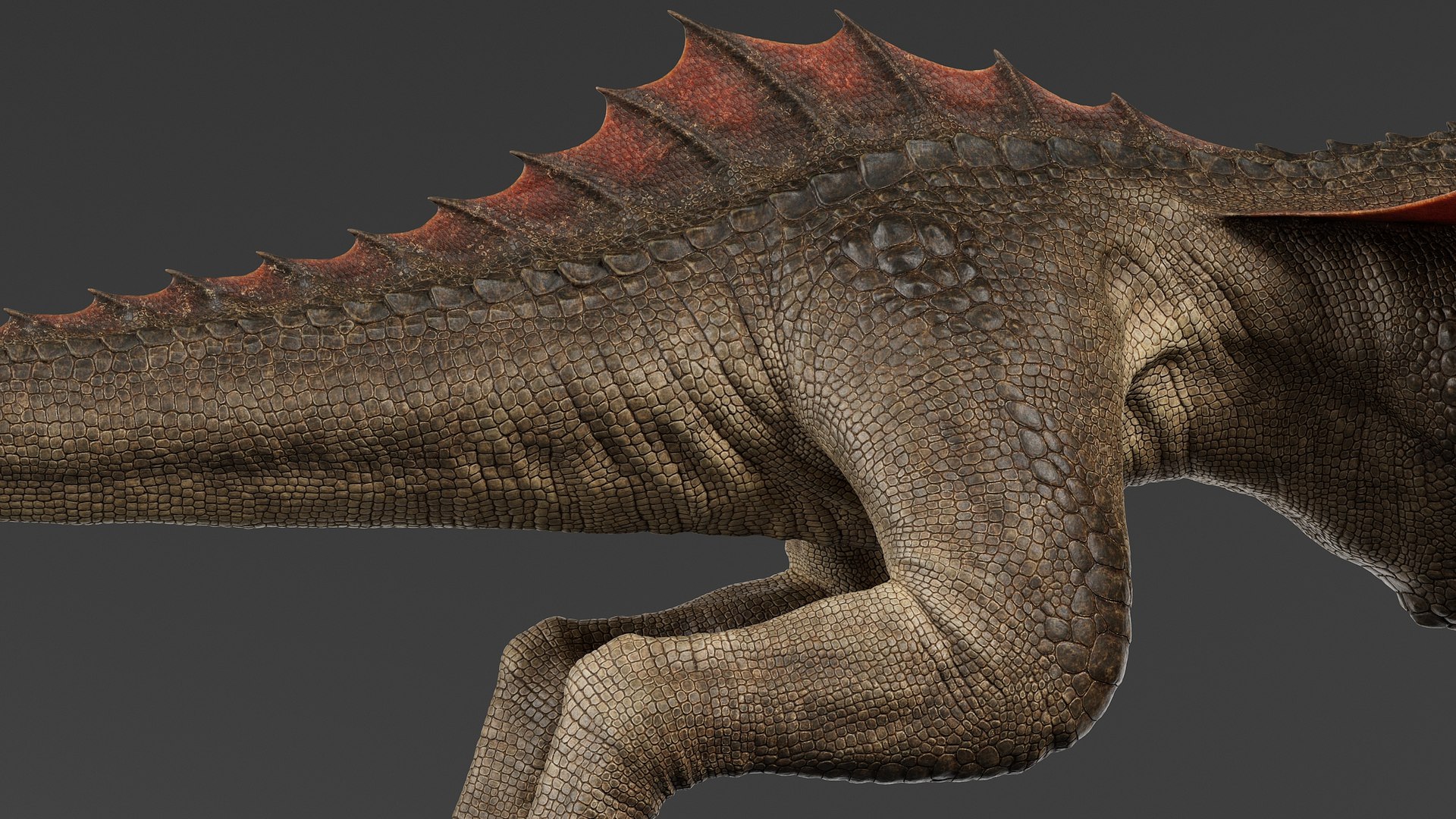 3D model Dragon No Rig https://p.turbosquid.com/ts-thumb/E8/cjQNIW/rf/drgb_008/jpg/1715010624/1920x1080/fit_q87/7dd42db171191dd3eaa39438d77d282e5aa06284/drgb_008.jpg