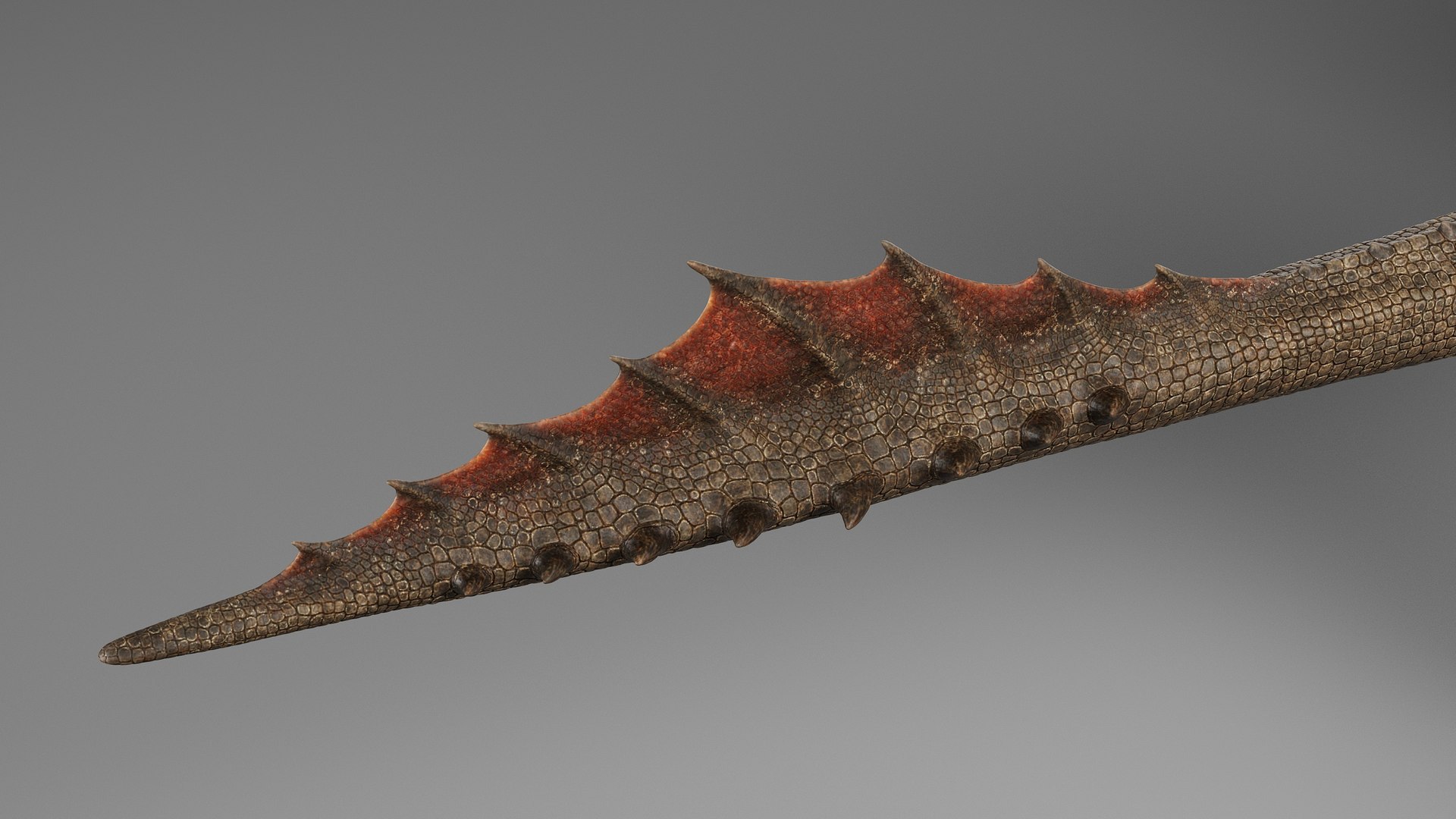 3D model Dragon No Rig https://p.turbosquid.com/ts-thumb/E8/cjQNIW/uy/drgb_004/jpg/1715010623/1920x1080/fit_q87/eb3802b604fd301bad281d226eb57ccf9a80f447/drgb_004.jpg