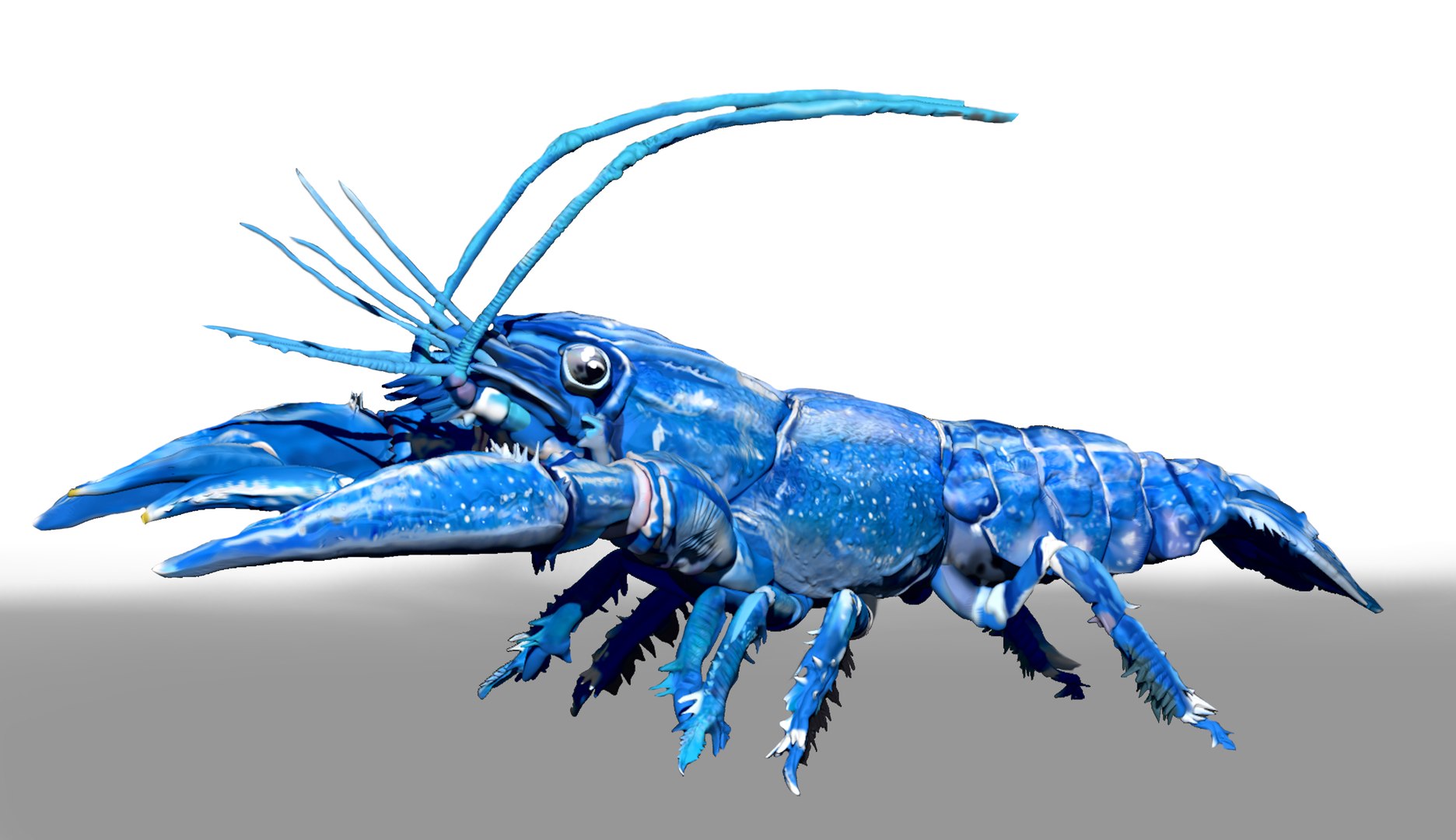 Blue Crawfish ZTL Sculpt 3D Model - TurboSquid 1736494