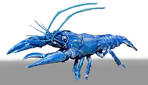 Blue Crawfish ZTL Sculpt