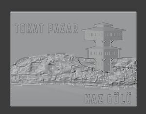 tokat pazar kaz 3D