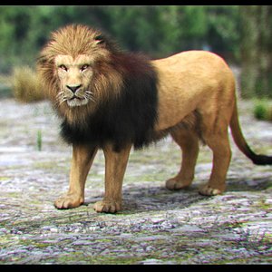 lion fur 3d model
