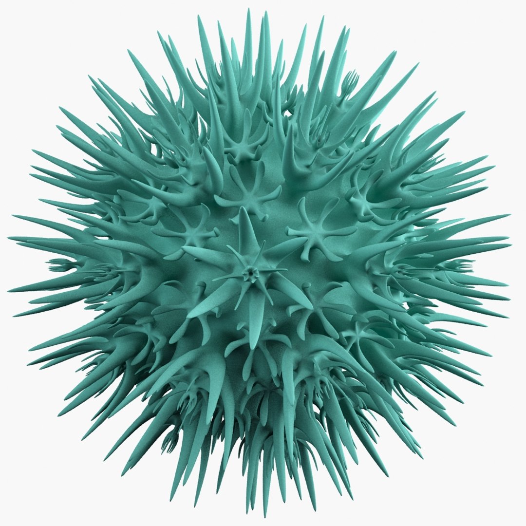 3d micro object mht