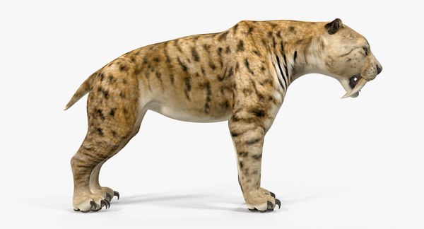 3D saber tooth tiger rigged - TurboSquid 1379331