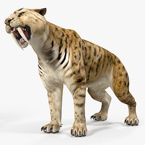 Download Free & Premium Saber Tooth Tiger 3D Models | TurboSquid