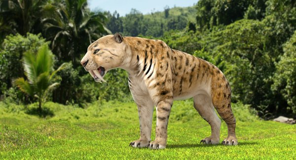 3D saber tooth tiger rigged - TurboSquid 1379331