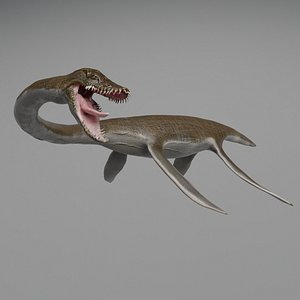 3D model styxosaurus pbr rig animation