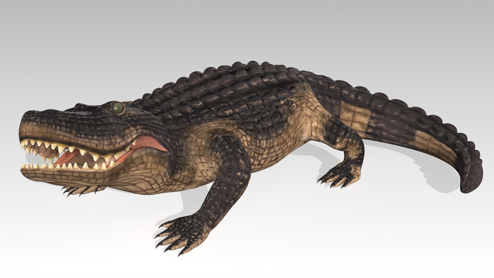 3D alligator animations https://p.turbosquid.com/ts-thumb/E9/Emp4Rj/BK/screenshot007/jpg/1733486374/1920x1080/fit_q87/f592f4427ad8641eaa1f61f77bd9a37952c6e394/screenshot007.jpg