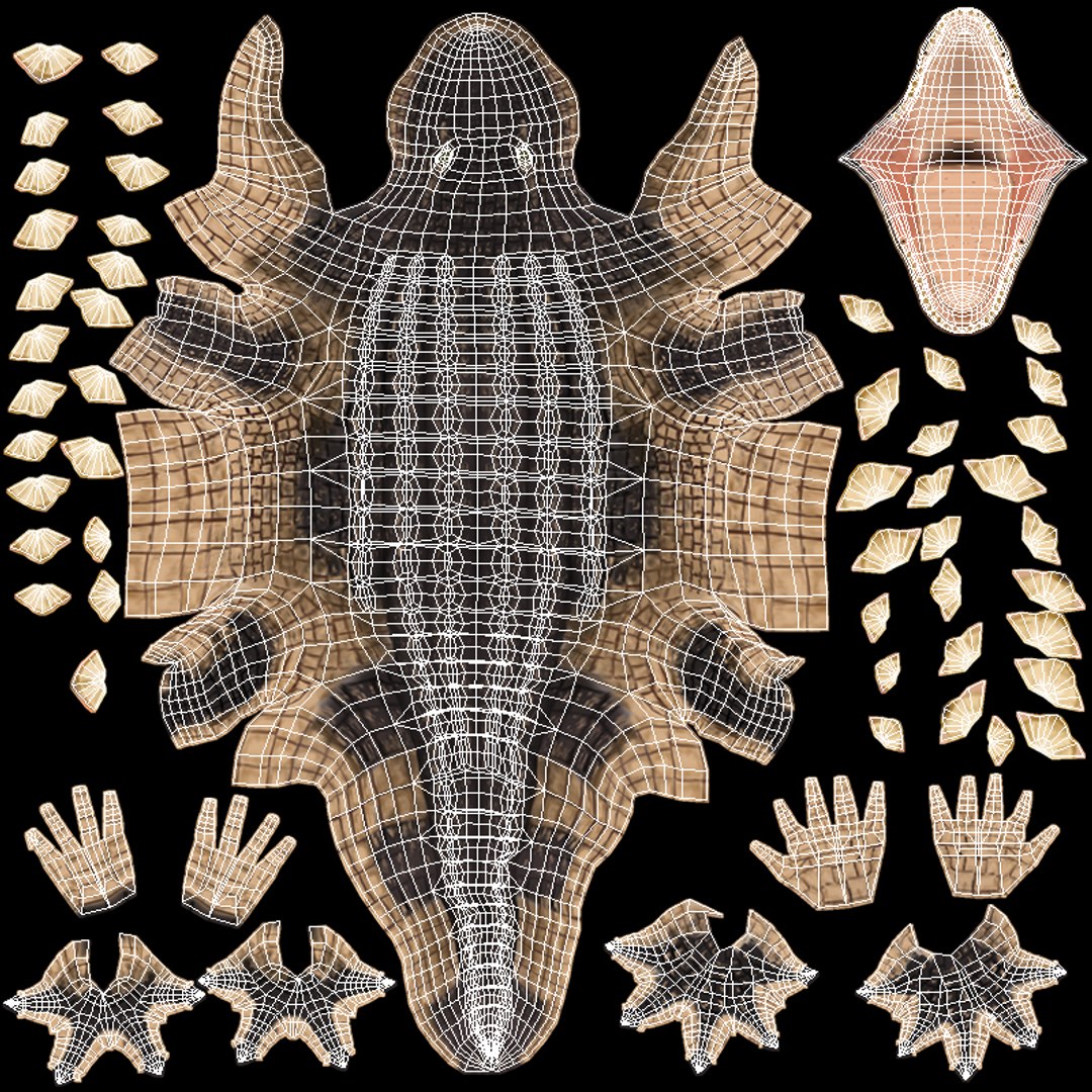 3D alligator animations https://p.turbosquid.com/ts-thumb/E9/Emp4Rj/FG/alligator_uv/jpg/1733487947/1920x1080/fit_q87/e7ca180de07476dfe5092be35298a6c33ddacfbe/alligator_uv.jpg