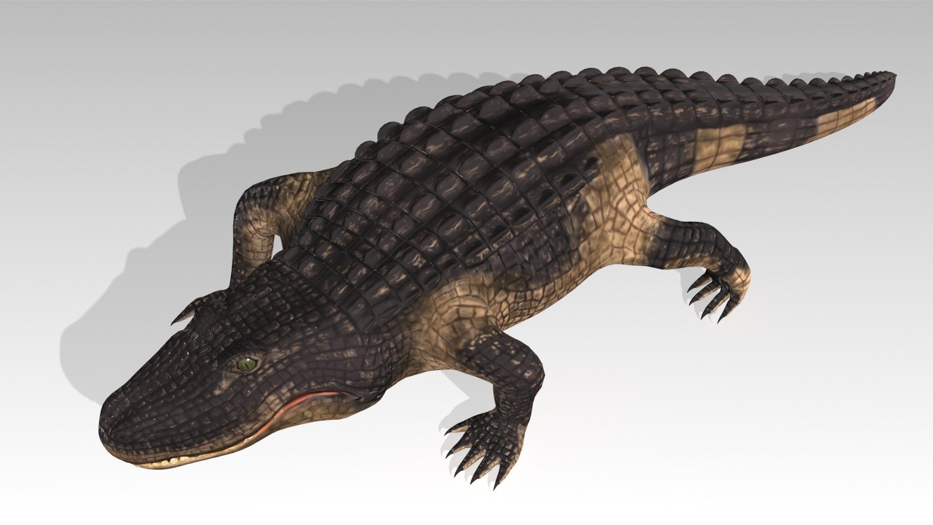 3D alligator animations https://p.turbosquid.com/ts-thumb/E9/Emp4Rj/If/screenshot005/jpg/1733485192/1920x1080/fit_q87/955e3973fd6bc2035fa5e226434a4f06fea368f3/screenshot005.jpg